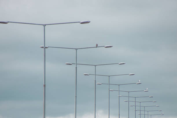 istock Low angle view of street lights against sky 1613970098