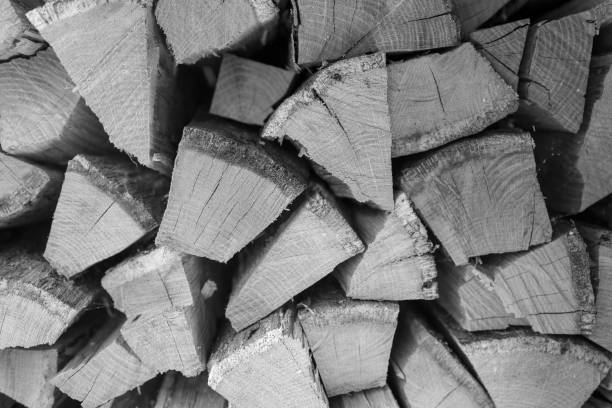 istock Photography on theme big wall of stacked oak tree 1613988610