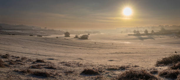 istock Winter frosty valley in the New Forest 1613988621