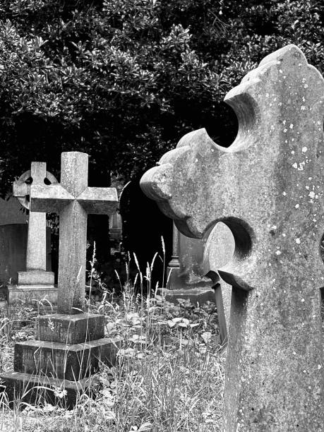 istock Cross shaped gravestones in a cemetery 1613992482