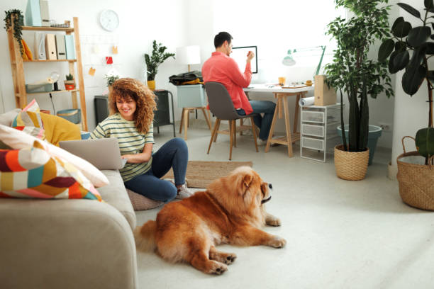 istock Young couple working at home on their own devices 1613997252