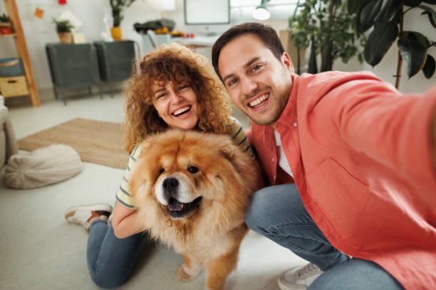 Selfie time! Young smiling casually clothed couple taking selfie with their chow dog at home two dogs hugging stock pictures, royalty-free photos & images