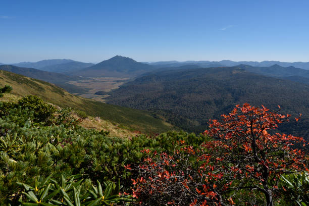 istock Mt. Shibutsu, Oze, Gunma, Japan 1614028994