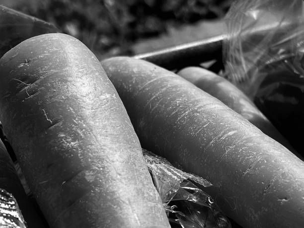 Close up of carrots