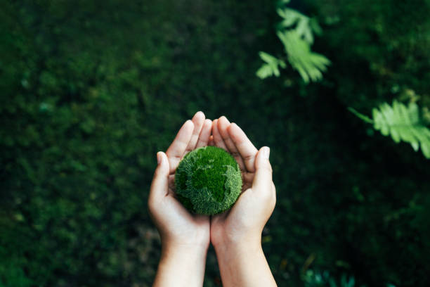 Net Zero Concept and Carbon Neutral Natural Environment Climate Neutral Long Term Emissions Strategy Goals Sustainability Green Globe in Hands Net Zero Emissions 2050 Concept