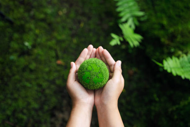 istock recycle zero waste concept Net zero carbon. Climate neutral long-term strategy. sustainable business development reuse, reduction, recycling symbol, conscious consumption Waste management. green globe on hand 1614055618