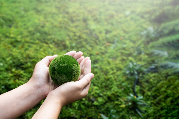 istock Net Zero Concept and Carbon Neutral Natural Environment Climate Neutral Long Term Emissions Strategy Goals Sustainability Green Globe in Hands Net Zero Emissions 2050 Concept 1614062561