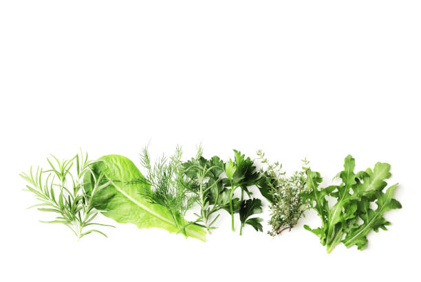 istock Flat lay composition of fresh herbs on a textured background with place for text 1614066762