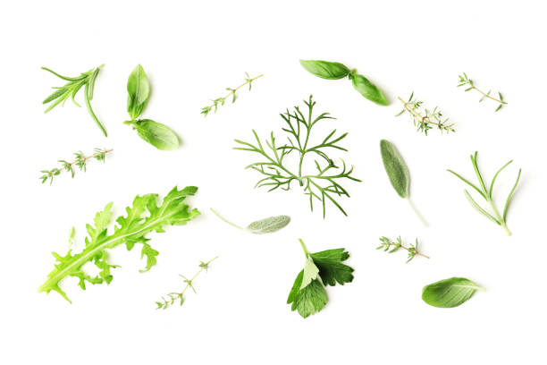 istock Flat lay composition of fresh herbs on a textured background with place for text 1614066770