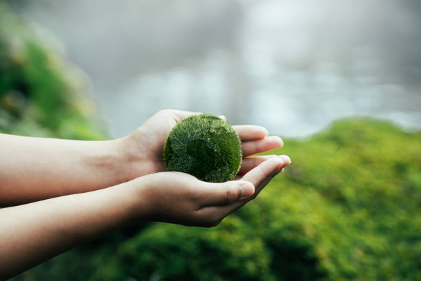 istock Net Zero Concept and Carbon Neutral Natural Environment Climate Neutral Long Term Emissions Strategy Goals Sustainability Green Globe in Hands Net Zero Emissions 2050 Concept 1614066885