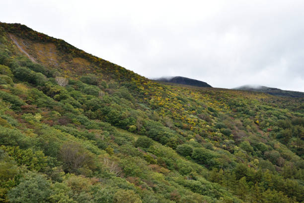 besteigung des mount adatara, fukushima, japan - nihonmatsu stock-fotos und bilder