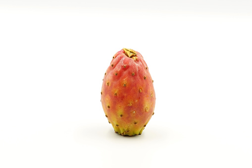 close-up of fig tree laden with prickly pears, a wild fruit found in the countryside