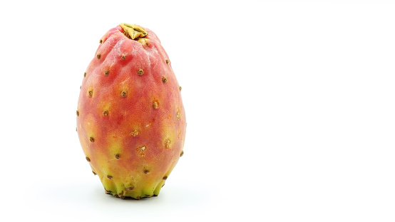 A prickly pear on a dark background