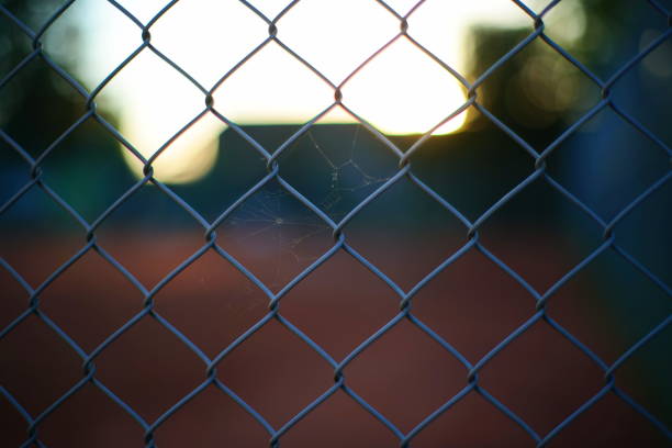 istock Wire fence mesh pattern. Close up shot, shallow depth of field, dim evening sunset light, no people 1614157109