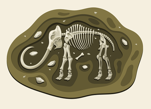 Vector of Mammoth Dinosaurs Archaeology Fossil Cartoon Discover in the Ground