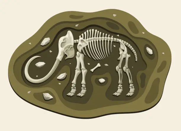Vector illustration of Mammoth Dinosaurs Archaeology Fossil Cartoon Discover in the Ground