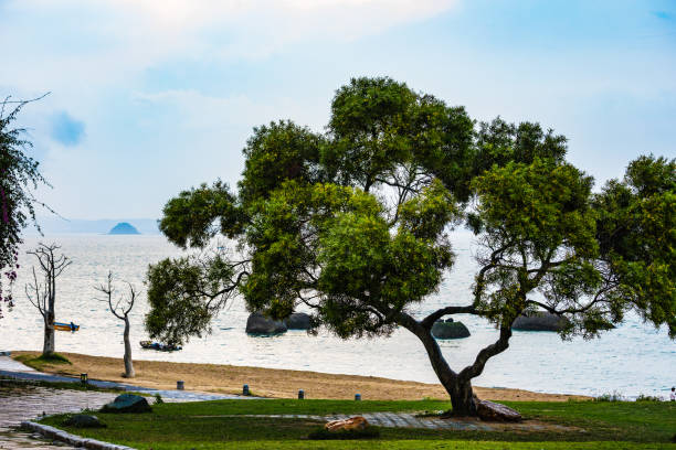 istock Siming District, Xiamen City - Huandao Road 1614181727
