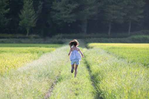 girl running on a rice field road