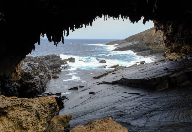 istock Admirals Arch on Kangaroo Island, Australia 1614184918