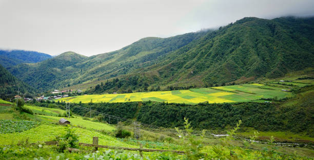 istock Mountain scenery in Kingdoom of Bhutan 1614185467