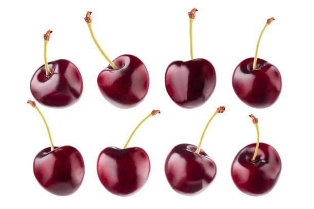 istock Bright red cherry set. Whole fruits with tails closeup, different sides isolated on white background, studio. Summer fresh ripe fruits as design element for advertising, card, poster. 1614187679