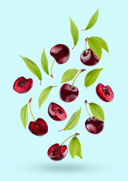 istock Juicy red cherry with green leaves as flow fly or fall as art composition. Whole, half pieces fruits on pastel blue background with shadow. Ripe raw fruits for advertising, design, label product. 1614190352