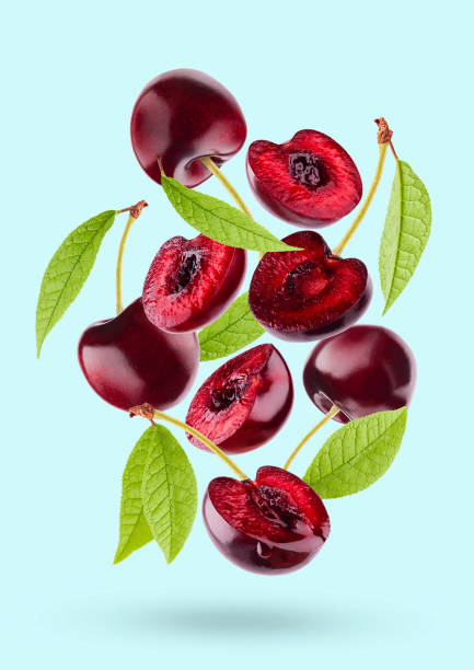 istock Bright red cherry with green leaves closeup levitation as flow, art composition. Whole, half fruits on pastel blue background, shadow. Summer ripe fruits for advertising, design, label product, card. 1614190367