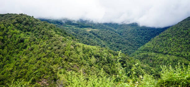 istock Mountain scenery in Bhutan 1614205417