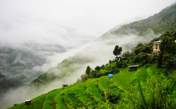 istock Mountain scenery in Bhutan 1614207036
