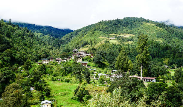 istock Mountain scenery in Bhutan 1614209269