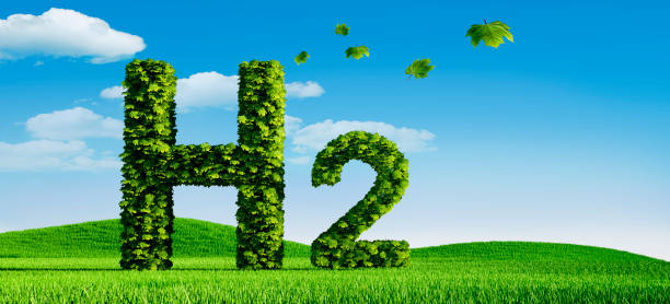 istock Hydrogen Symbol covered with Leaves 1614217076