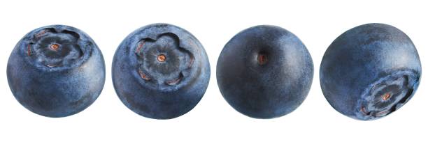 istock Blueberry with leaves isolated on white background. Collection 1614224490