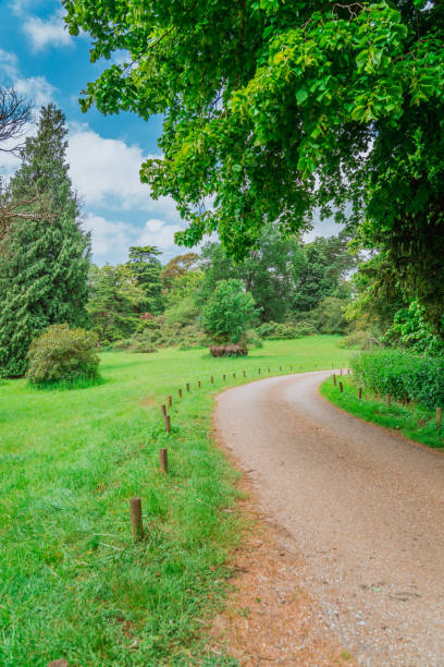 istock Walking path along in Woburn Park, UK 1614228670