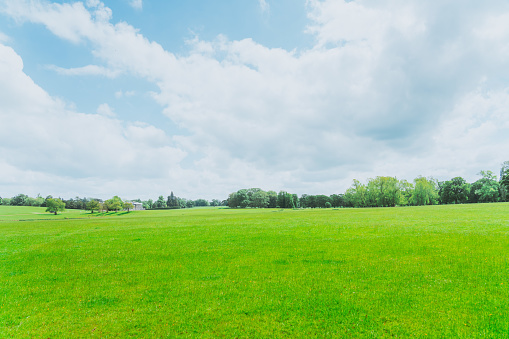 Blue sky and are trees on the meadow