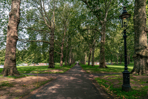 istock Green Park, London. 1614236431