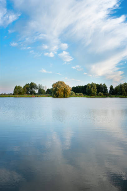 Summer landscape reflecting trees and cloudy sky in lake water
