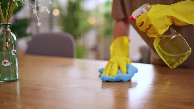 Young Woman Cleaning The Dining Table Surface
