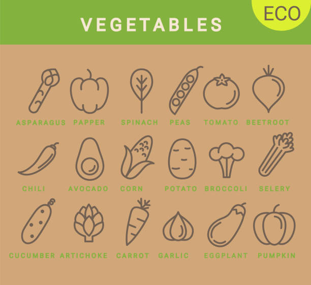 ilustraciones, imágenes clip art, dibujos animados e iconos de stock de iconos de verduras en estilo minimalista simple. - red potato raw potato market red