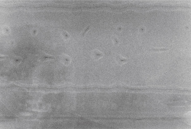 istock 125 Iso Black and White film grain textured background 1614285775