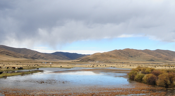 The beautiful scenery of Hongyuan Grassland in Aba Tibetan and Qiang Autonomous Prefecture, Sichuan province, China.