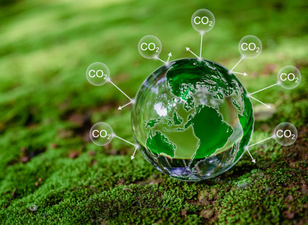 istock Crystal ball on moss in green forest. CO2 emission reduction concept, clean and friendly environment without carbon dioxide emissions. Planting trees to reduce CO2 emissions, environmental protection concept. 1614302448