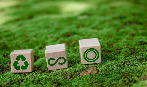 istock Concepts of waste reduction, pollution, reuse, efficient use of resources. Environmental protection sign by recycling on circular wooden board on nature background. 1614302450