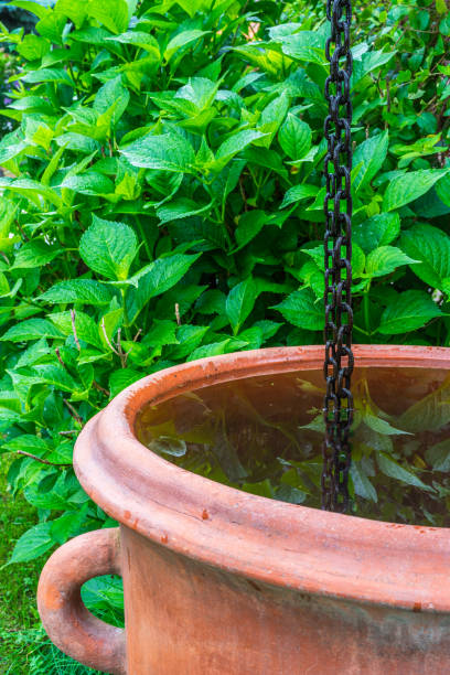 Extreme weather intense downpour rain storm water splashing into, and overflowing over the edges, of a small group of muddy outdoor front or backyard gardening flower pots.