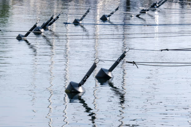 istock Marina concept: numbered mooring buoys with ropes 1614348094