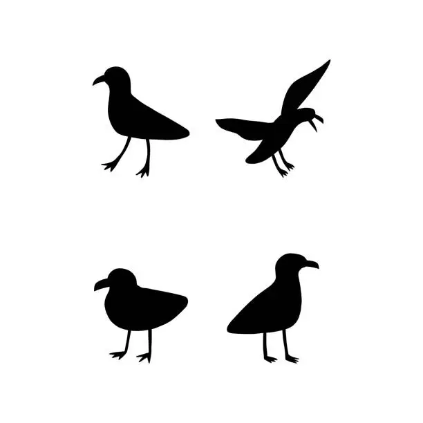 Vector illustration of Seagull. Black silhouette. Atlantic seabird. Marine Animal Vector illustration on white background.