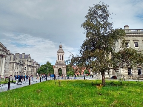 11th August 2023, Dublin, Ireland. Trinity College showing rewilding  plot, allowing wildflowers to grow in place of a cultivated lawn .