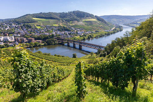 Spectacular, breathtaking panoramic view from the Prizenkop tower of the Moselle loop, the Moselle valley from Reil to the Bremmer Calmont, Zeller Hamm, the Hunsrück heights and the Kondelwald forest.