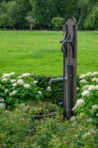 summer time in the german muensterland near Borken