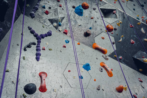 istock Artificial climbing wall with colorful grips and ropes 1614464394