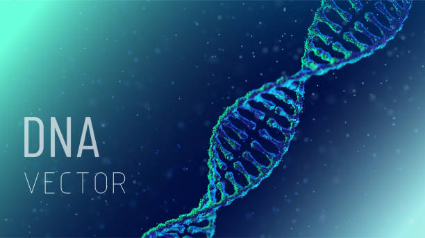 DNA helix in a medium of particles. Depth of field. 3D. Medical science background. Gene cell concept vector. A stylized DNA helix composed of luminous dots in blue and turquoise tones. The effect of depth of field emphasizes the microscopic nature of the scene. The lighting is blue and light blue. genetic makeup stock illustrations